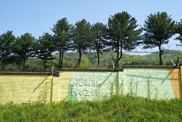 b-DSC00928.JPG