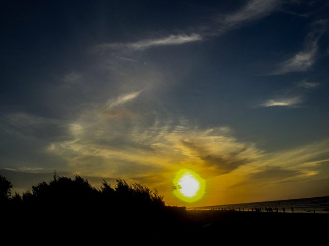 IMG-20241029-WA0212.jpg