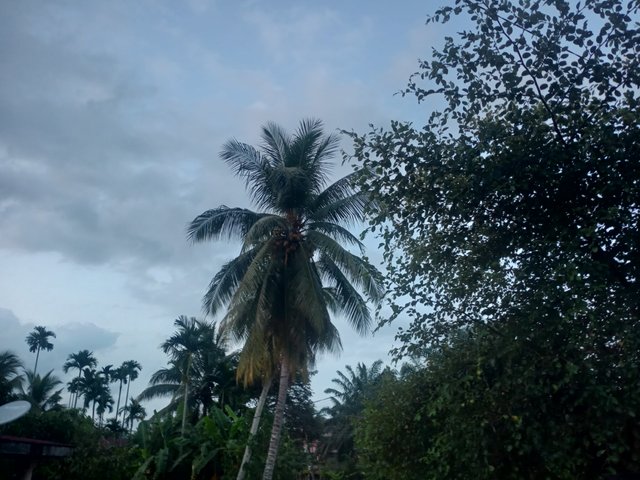 IMG20250722184947.jpg