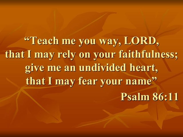 The way to spiritual perfection. Give me an undivided heart, that I may fear your name. Psalm 86,11..jpg