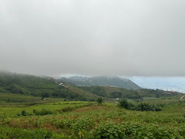 Phu Thap Boek2.jpg