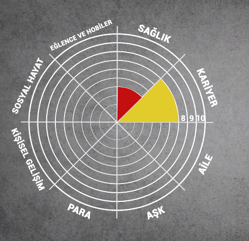 life cycle table.png