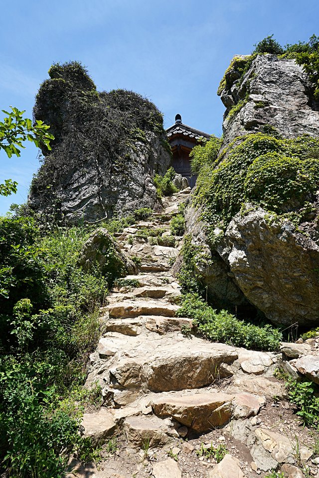 b-DSC08055.JPG