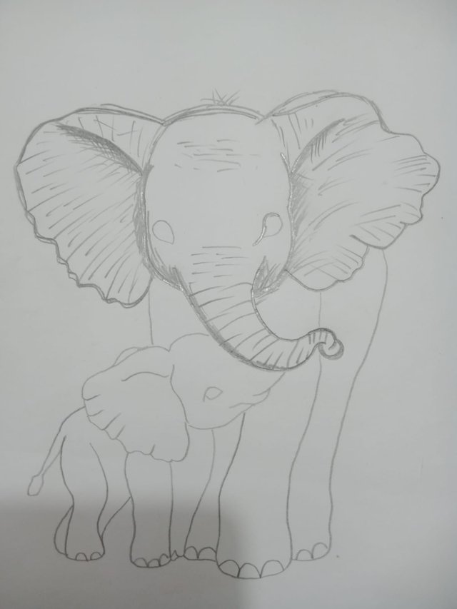 Elephant (4).jpg