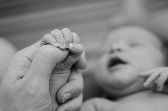 800px-Baby-Parenthood-Finger-Father-Hand-Love-Mother-1271742.jpg