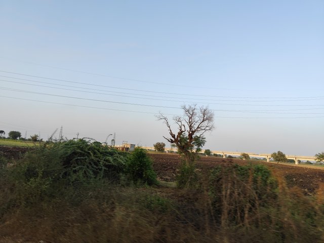 IMG_20250413_182421.jpg