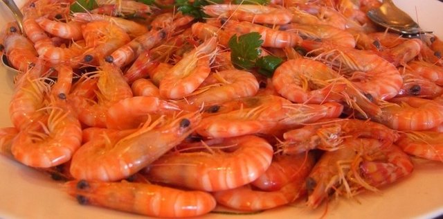 shrimp-e1452897646869.jpg