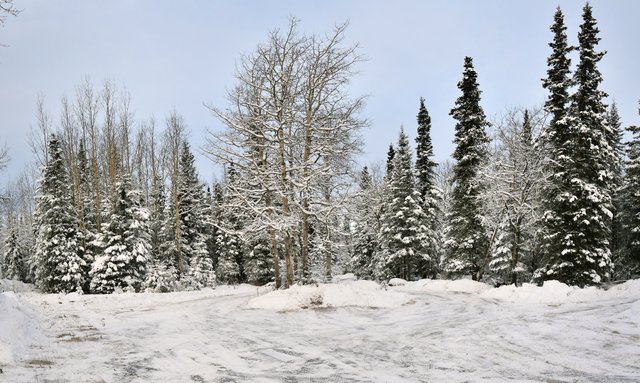 pano103 driveway 12-27-2019 cropped resized to upload.jpg