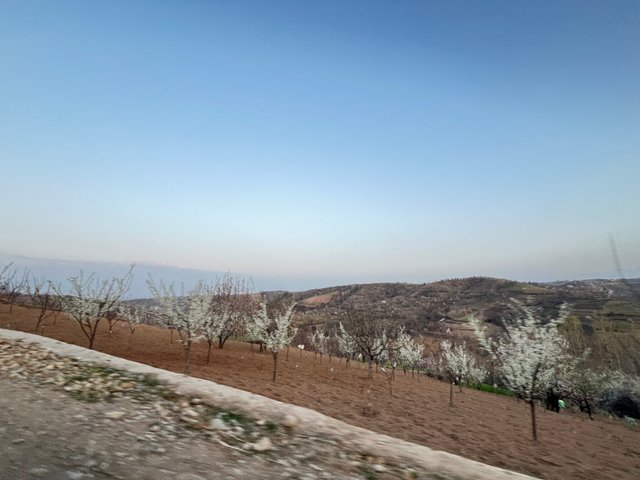 IMG_2983.jpeg