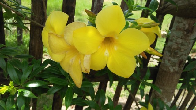 IMG20220902100309.jpg