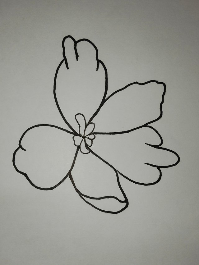 IMG20250720192550.jpg