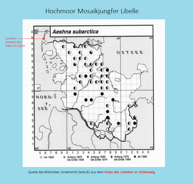 202008150209 Atlas der Libellen Hochmoor Mosaik Jungfer.png