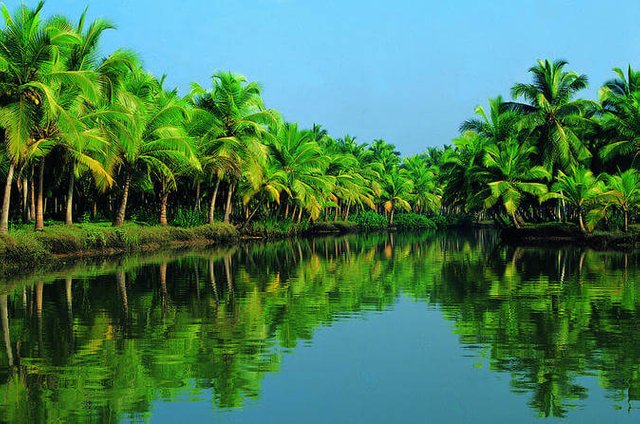 Alleppey.jpg