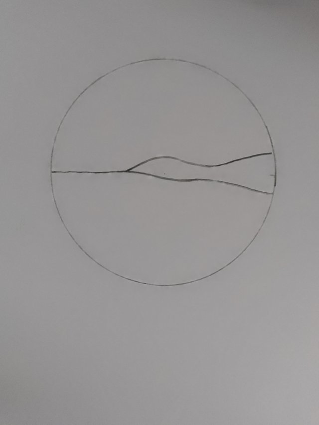 1000052947.jpg