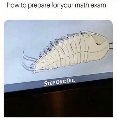 how-to-prepare-for-your-math-exam-step-one-die-64614415.png