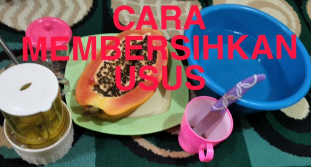 cara membersihkan usus.png