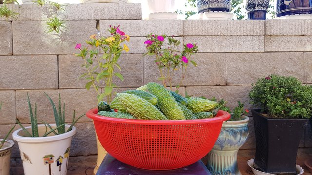 20180908_074348.jpg