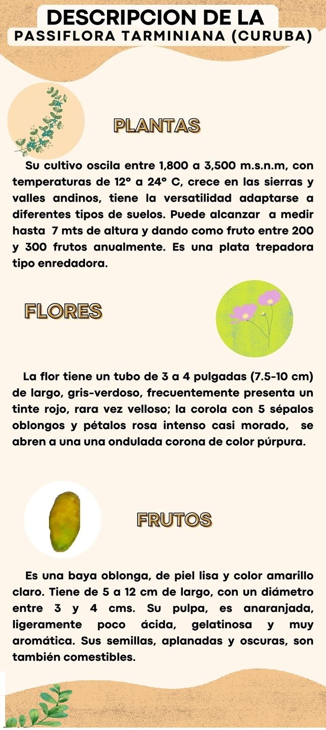 Infografía sobre moda lenta y sostenibilidad  Reciclaje y residuo cero.jpg