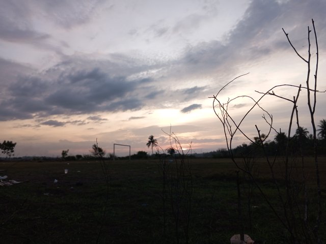 IMG_20250909_182744_346.jpg