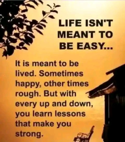 FB_IMG_17517480570109168.jpg