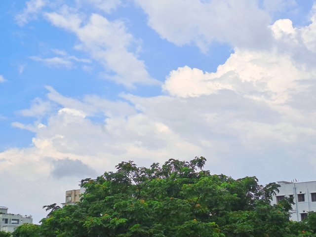 20250713_154618.jpg