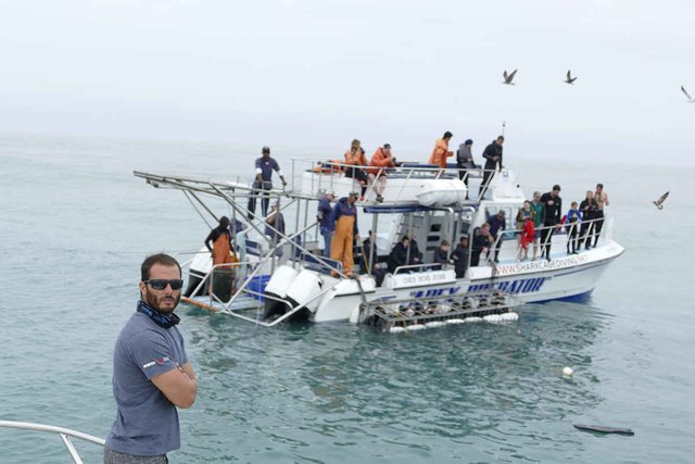 Shark diving adventures in Gansbaai.jpg