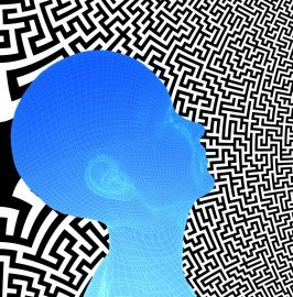 mind-brain-maze.jpg