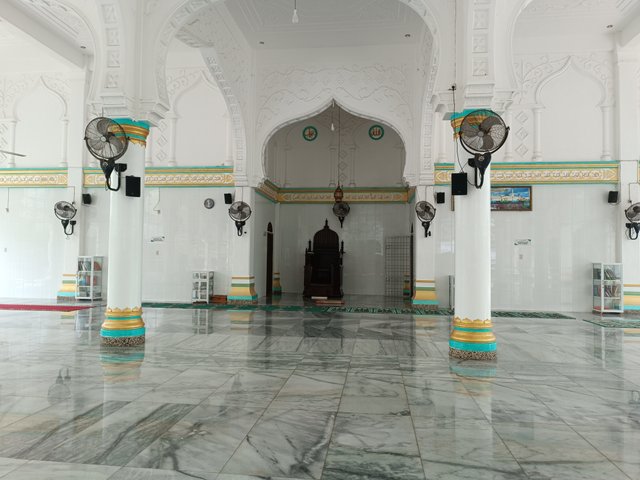 IMG_20250411_150719.jpg