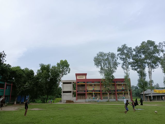 IMG20250724173051.jpg