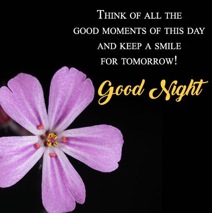 Keep-smile-good-night-sayings.jpg