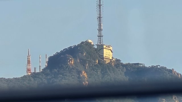 1000128445.jpg