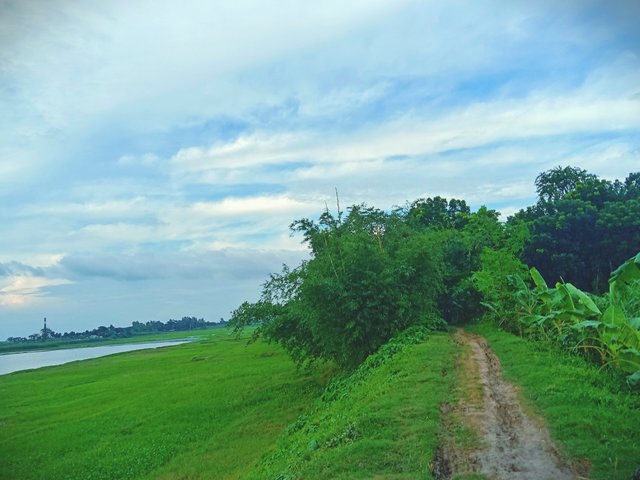 IMG_20250626_053353.jpg