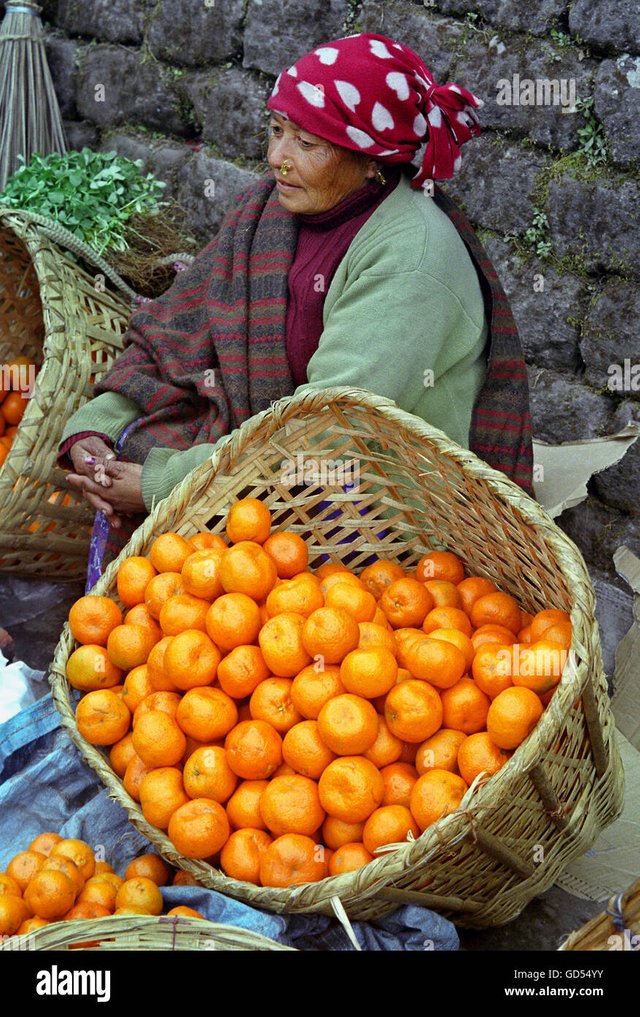 gorkha-lady-selling-oranges-GD54YY.jpg