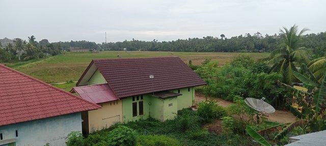 IMG20241117131701_01.jpg