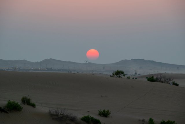 20231223-Desert_7.jpg