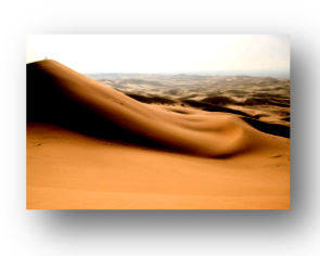imagen portada Desierto.png