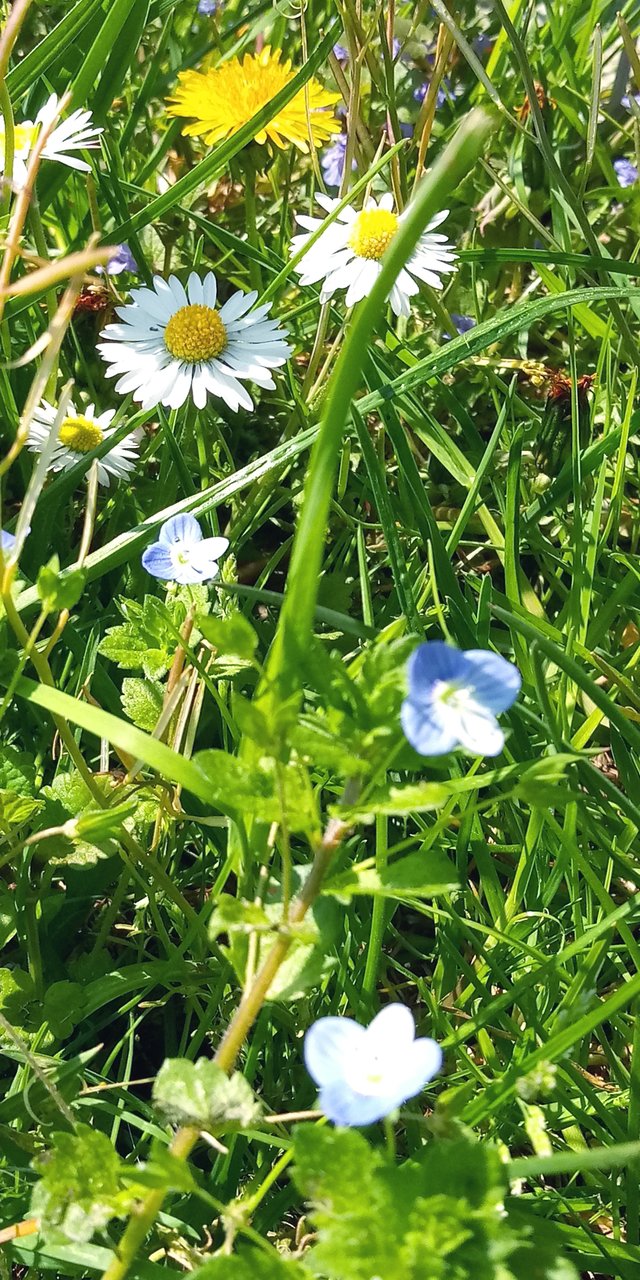 20250412_131049.jpg