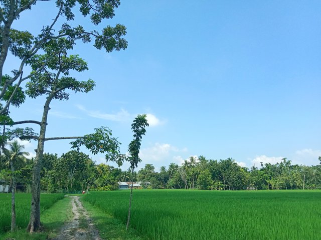 IMG_20250928_193749.jpg