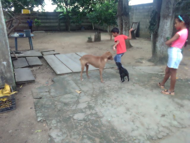 IMG_20220718_094334.jpg