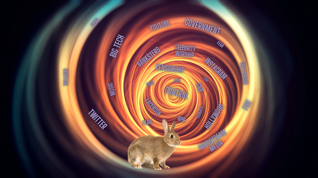 Down The Rabbit Hole by Michaelson Williams.png