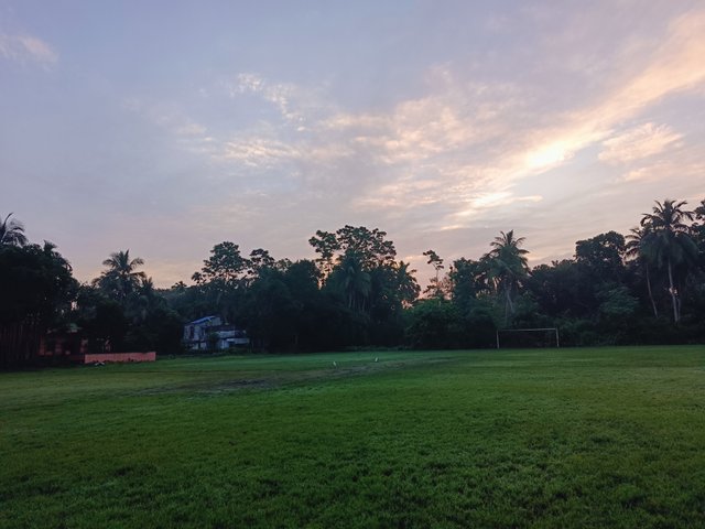 1000057476.jpg