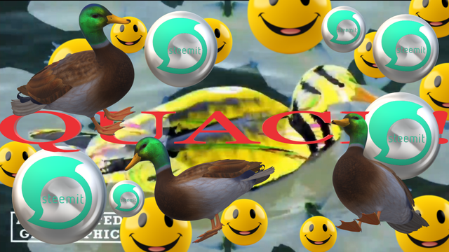 1017 STEEM 1 DUCK.png