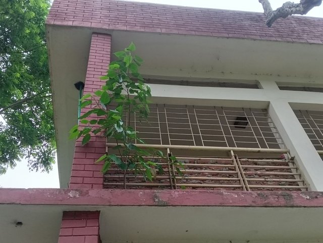 IMG20250602170156.jpg
