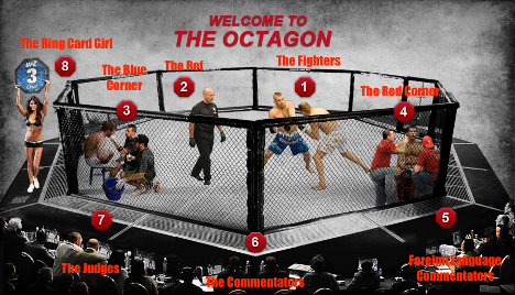 Octagon Picture.png