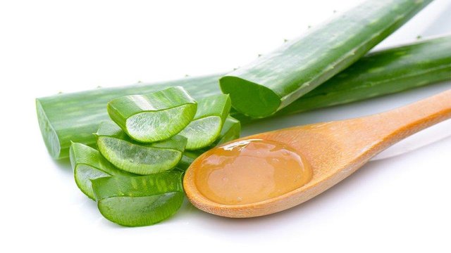 your-expert-guide-to-aloe-vera-header-v2-960x540.jpg