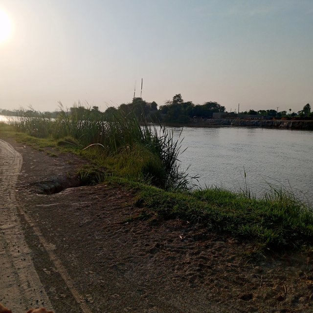 IMG_20250822_173809_174.jpg