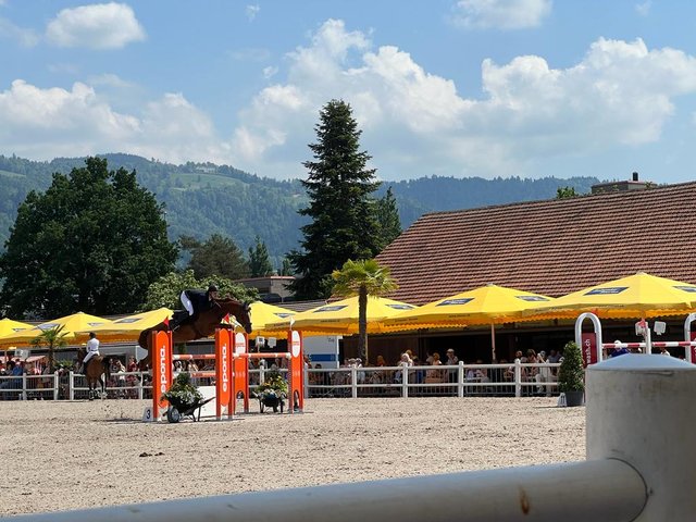 TSNN4607.JPG