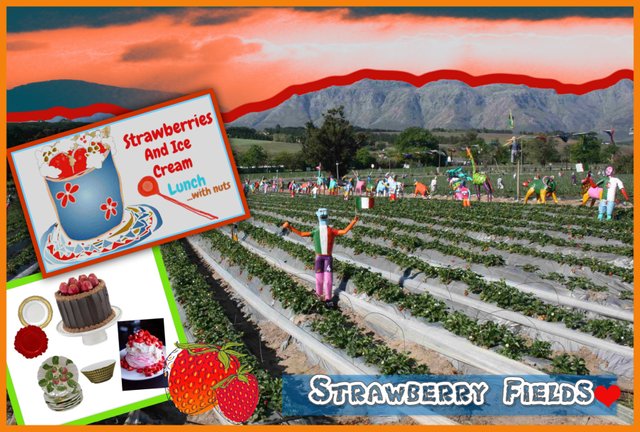 strawberry fields collage contest.jpg