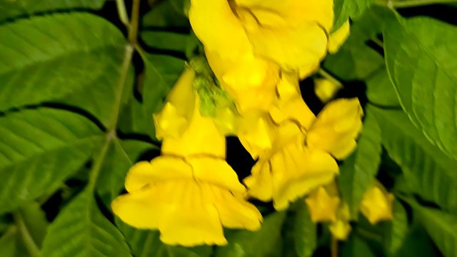 20250214_031315.jpg