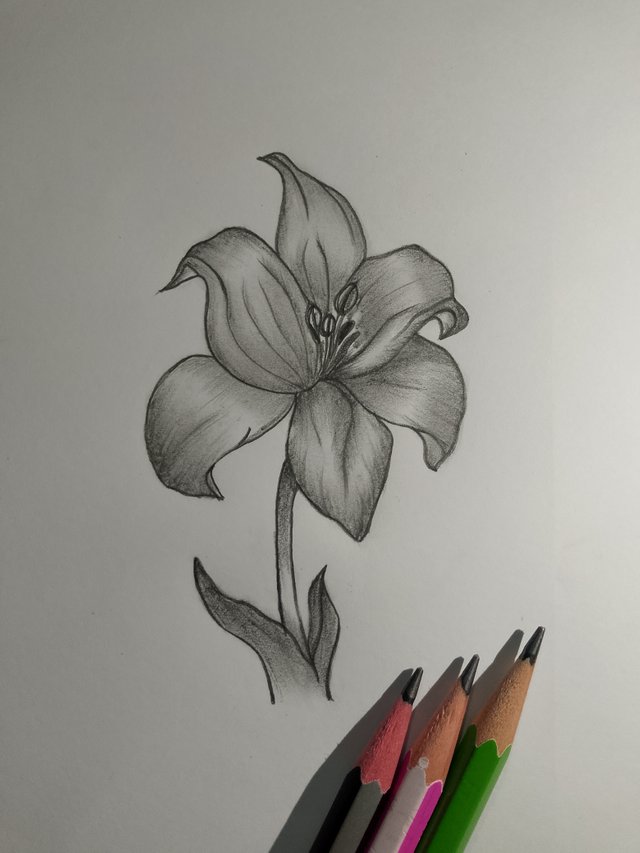 1000054338.jpg